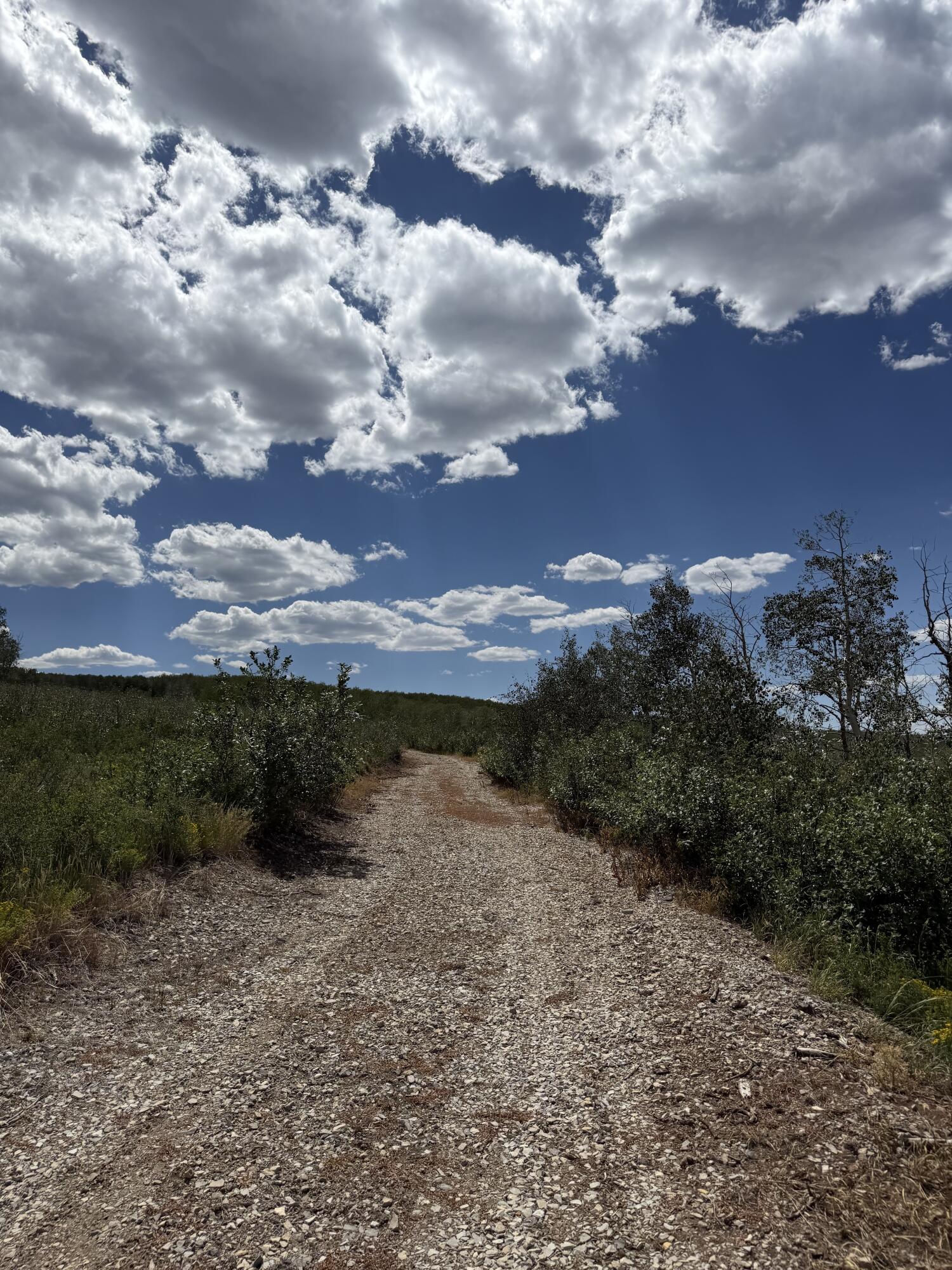 Lot #47 D E Snow Bird DR, Spanish Fork, photo 9 of 13