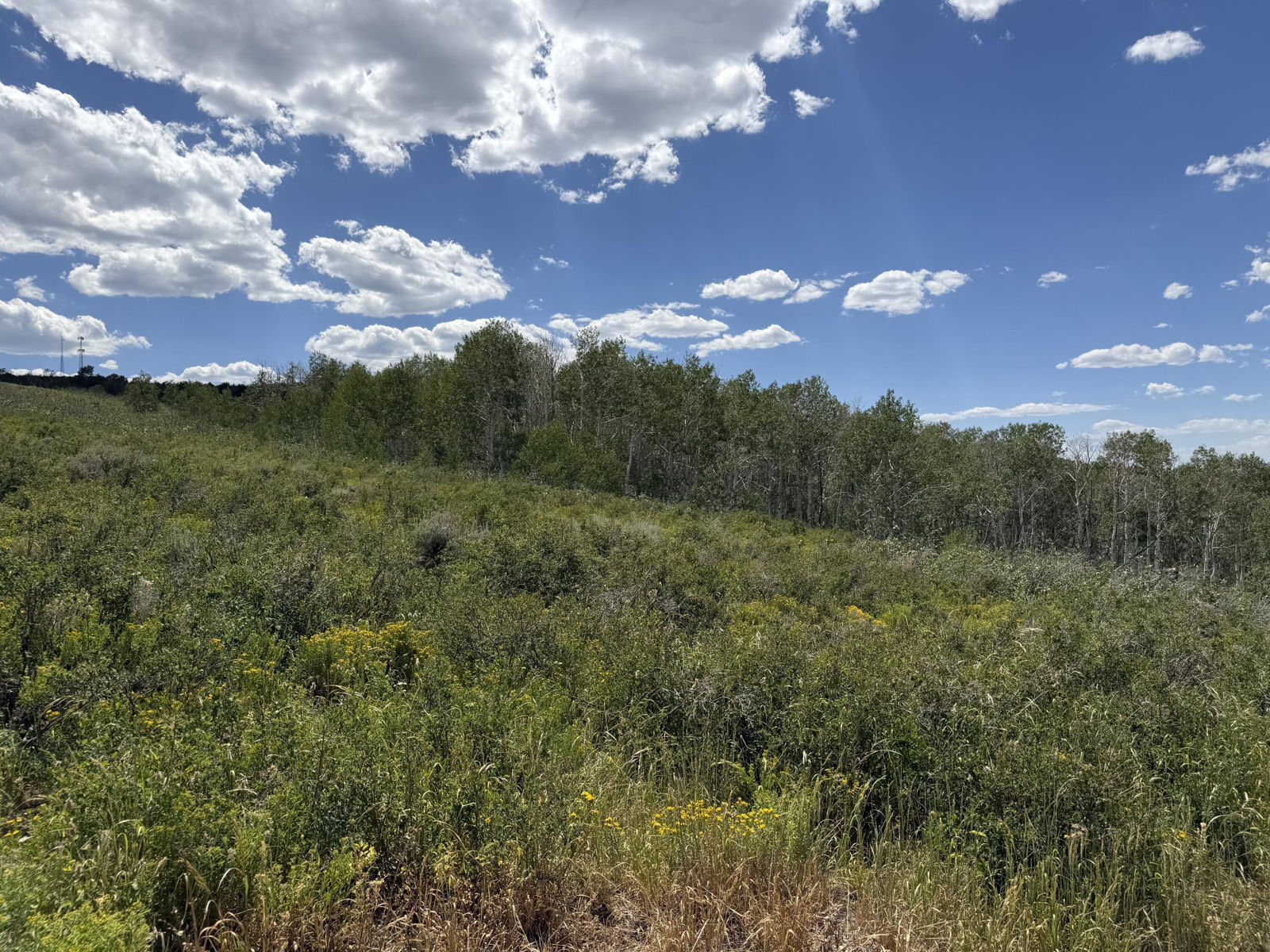 Lot #47 D E Snow Bird DR, Spanish Fork, photo 13 of 13
