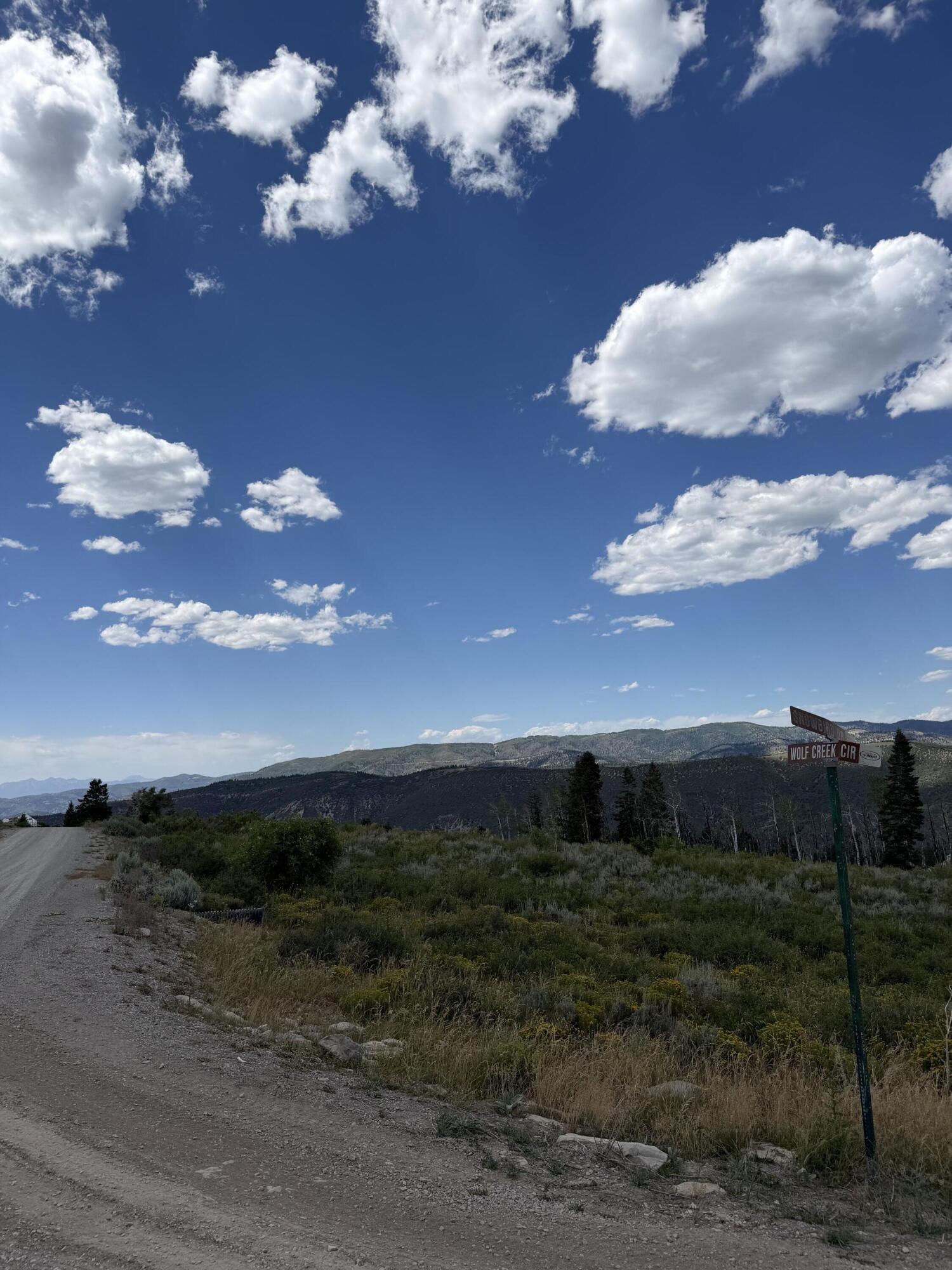17585 S Wolf Creek CIR, Lot 45, Spanish Fork, photo 11 of 13