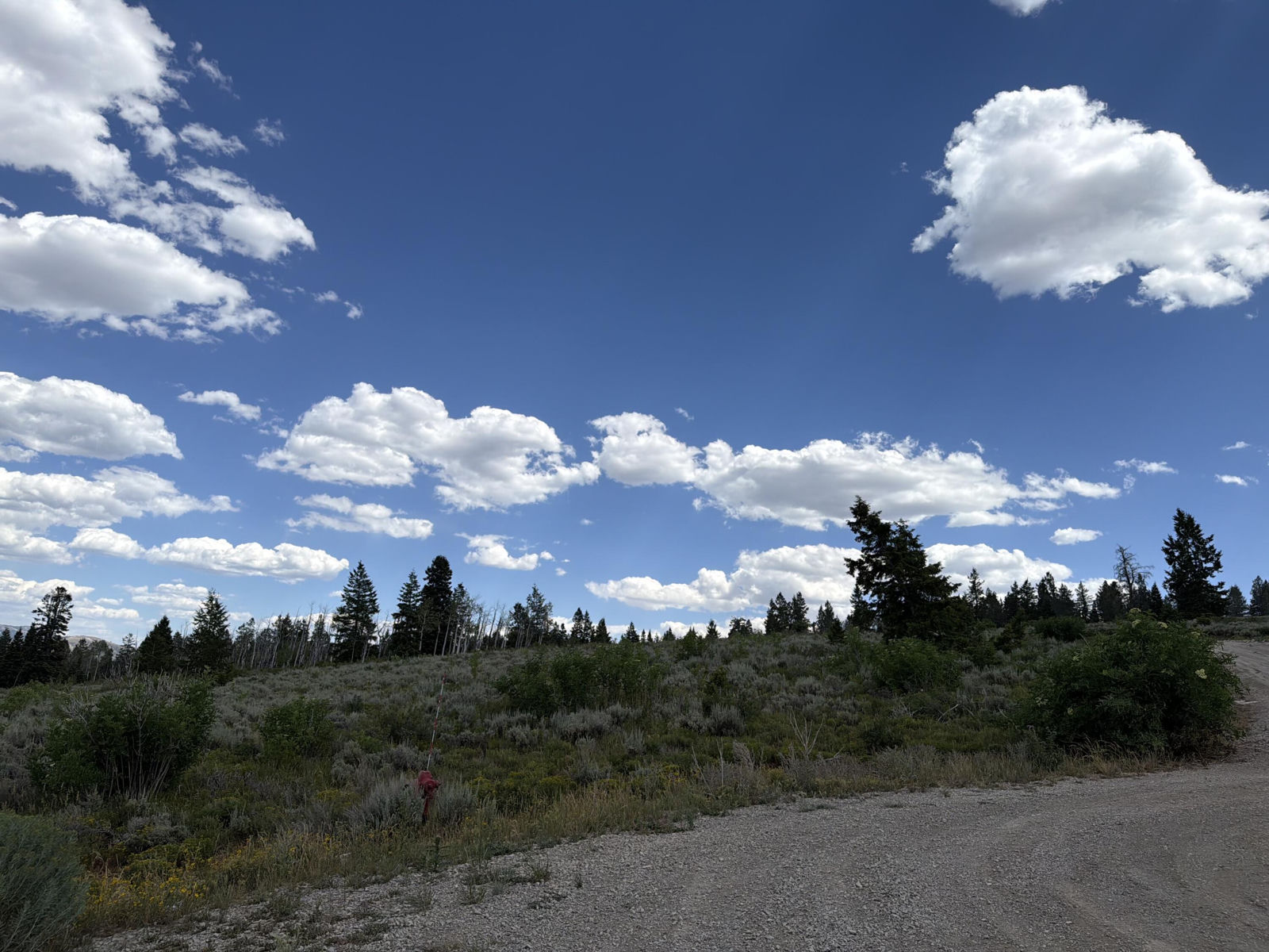 17585 S Wolf Creek CIR, Lot 45, Spanish Fork, photo 12 of 13
