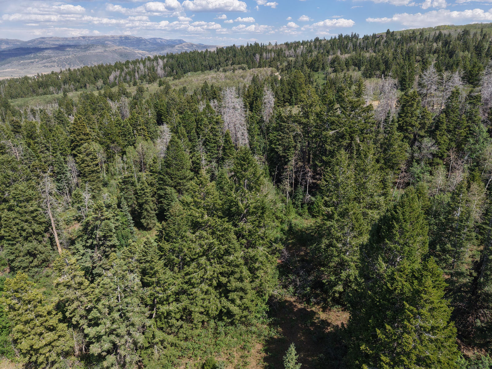 Lot 11D S Alta DR, Spanish Fork, photo 11 of 12
