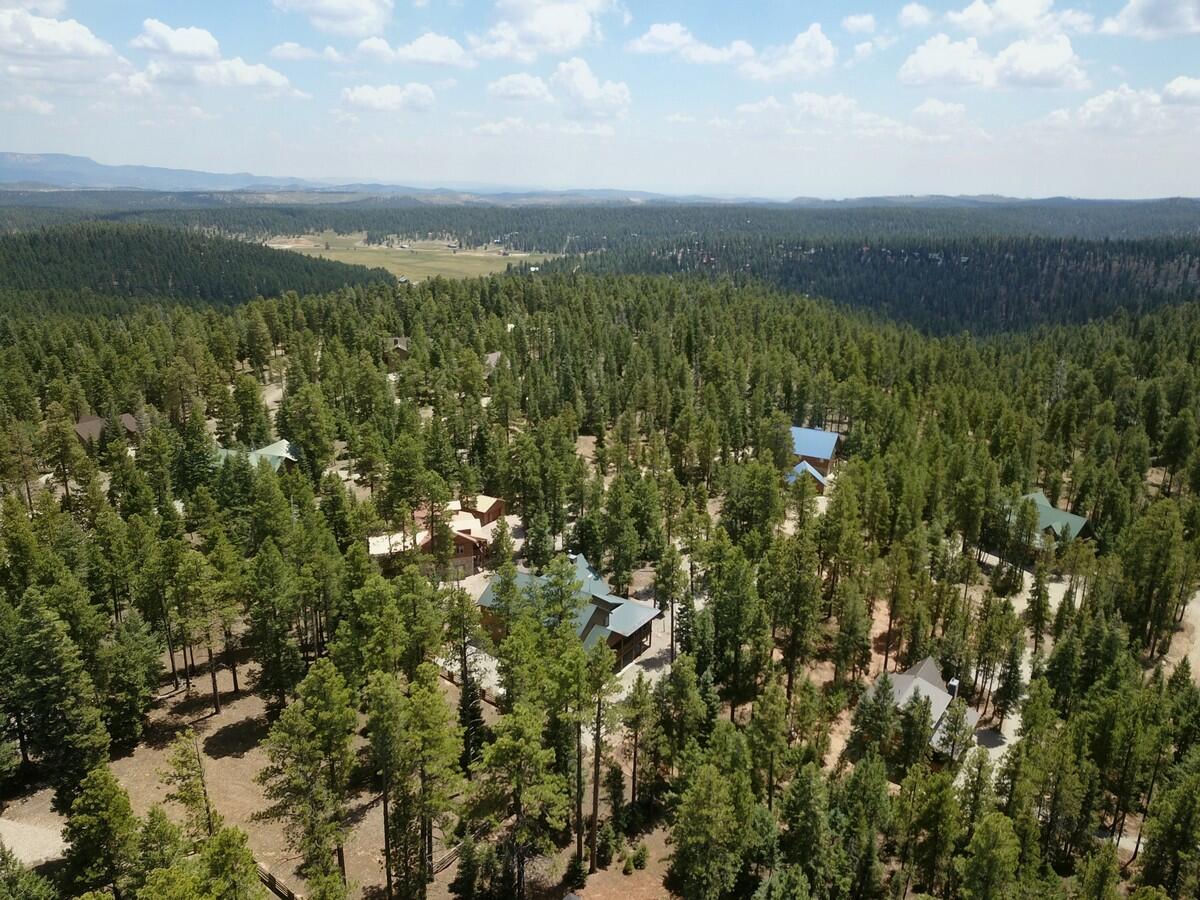 1525 N Henry RD, Duck Creek Village, photo 47 of 50