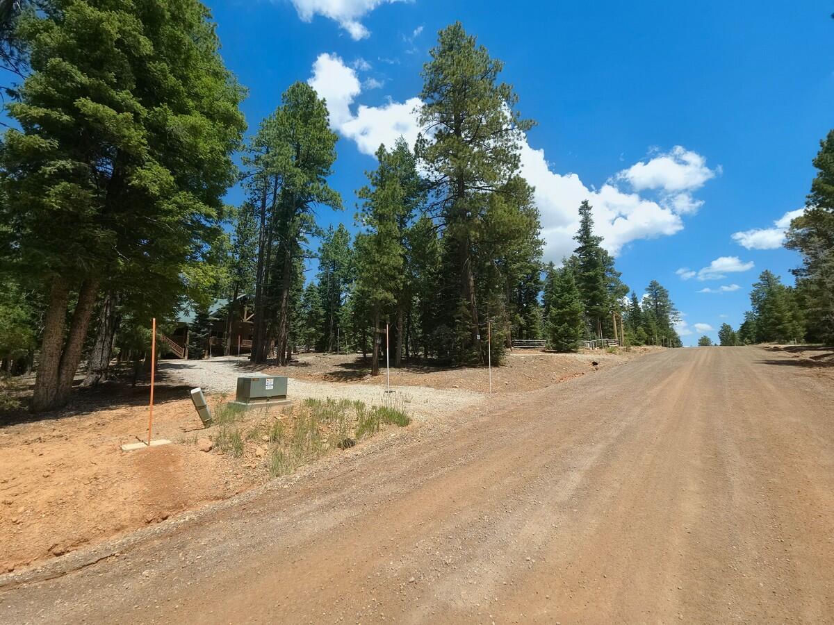 1525 N Henry RD, Duck Creek Village, photo 49 of 50