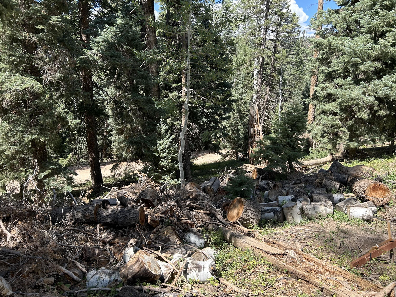 6980 W Kodiak DR, Duck Creek Village, photo 9 of 13