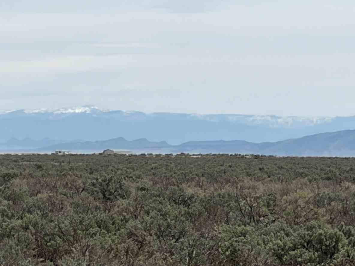 10 Acre Parcel #E-1540-0007-0, Beryl, photo 2 of 7