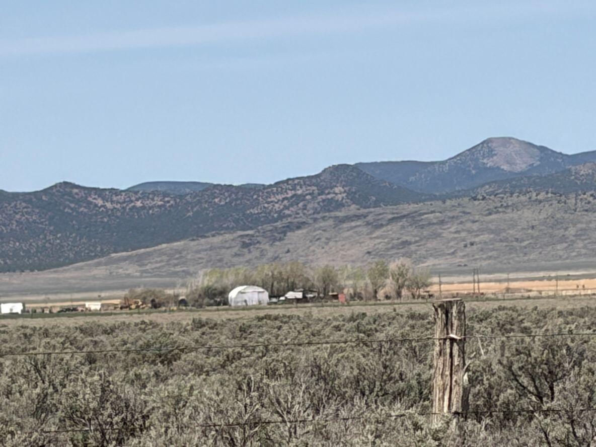 10 Acre Parcel #E-1540-0007-0, Beryl, photo 5 of 7