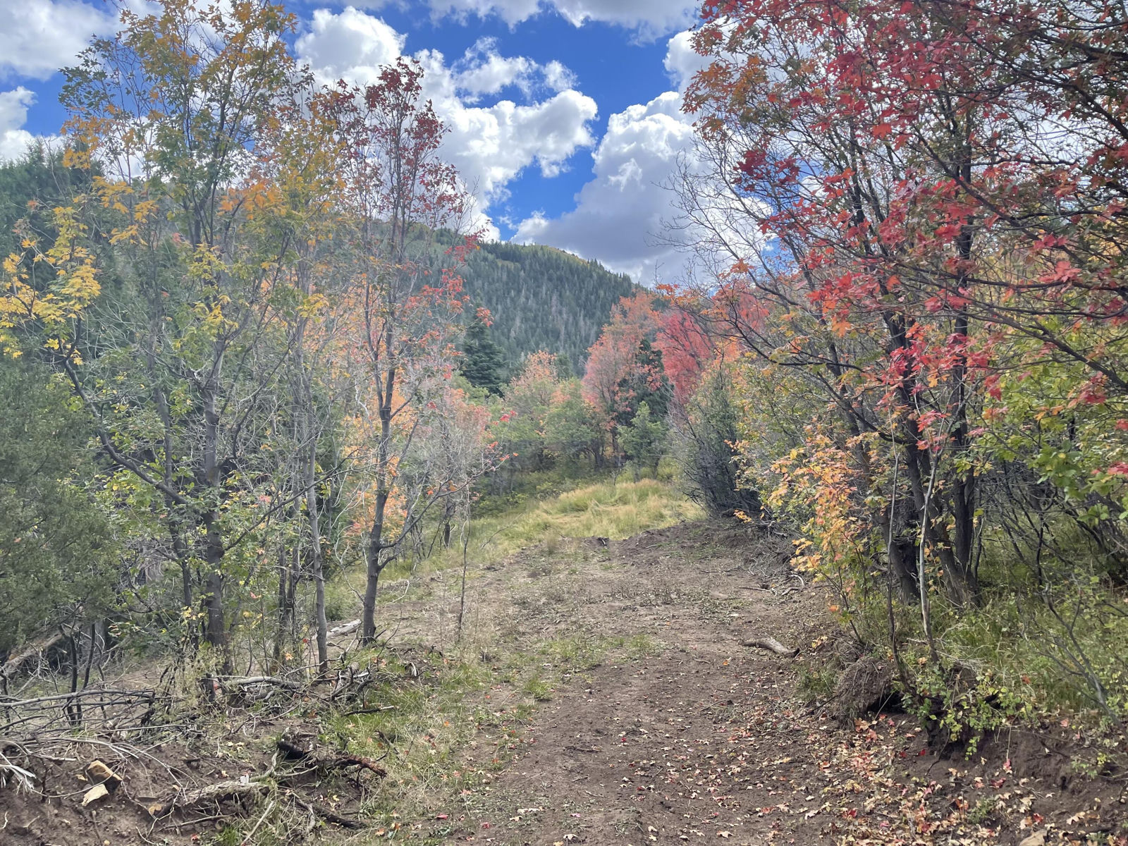 Lot 129 3200 Subdivision, Summit, photo 2 of 5