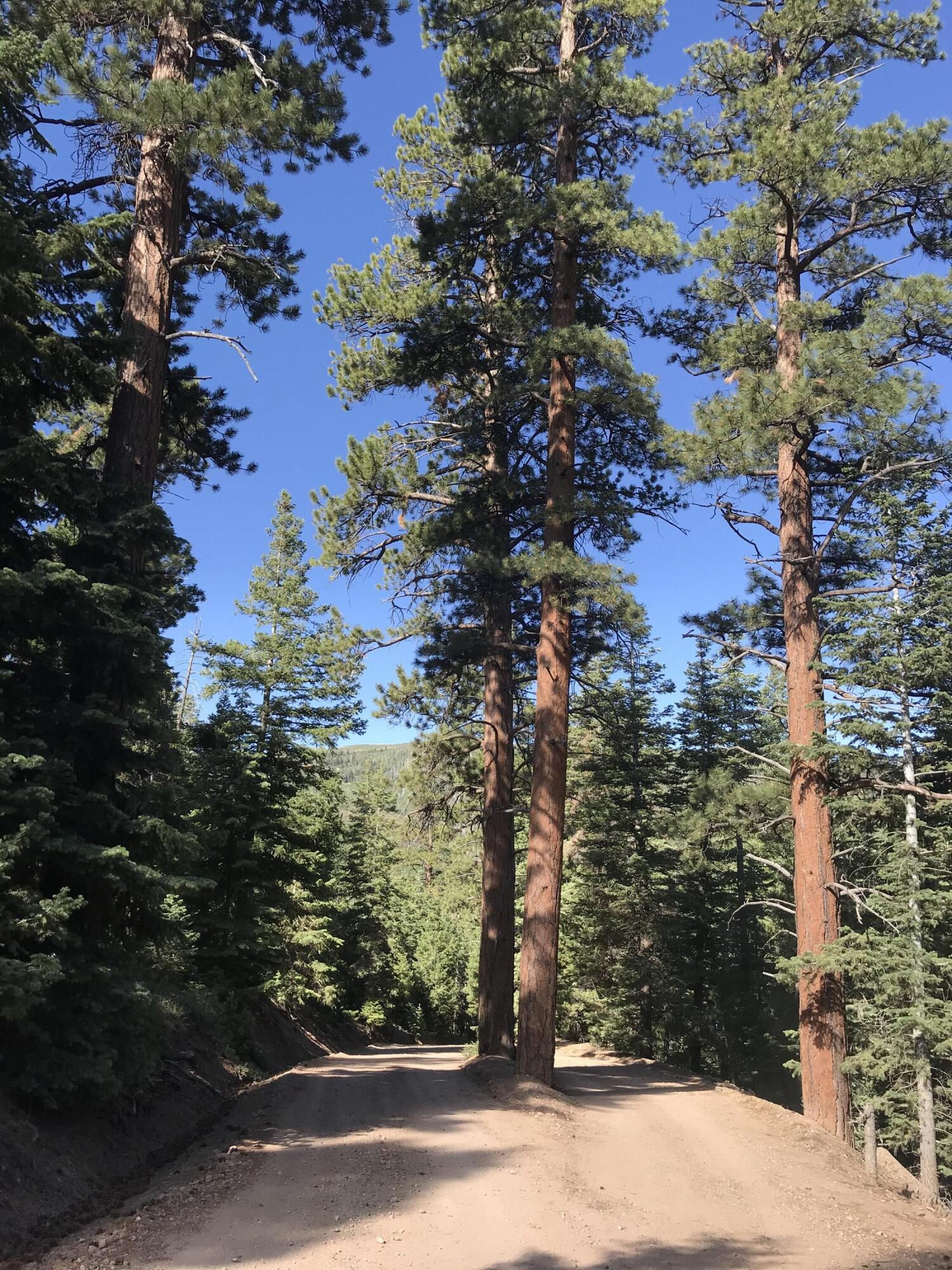 Lot 129 3200 Subdivision, Summit, photo 1