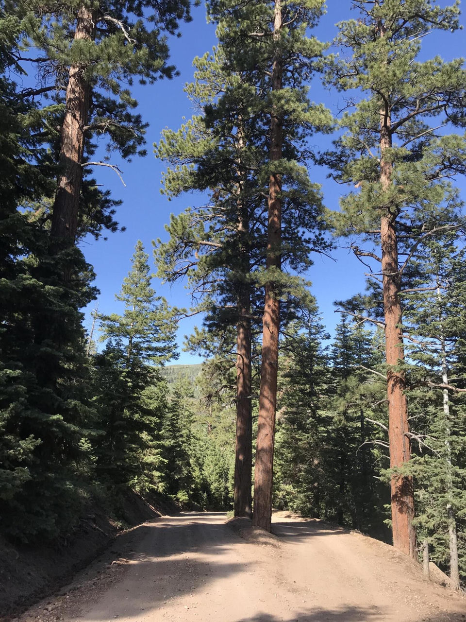 Lot 129 3200 Subdivision, Summit