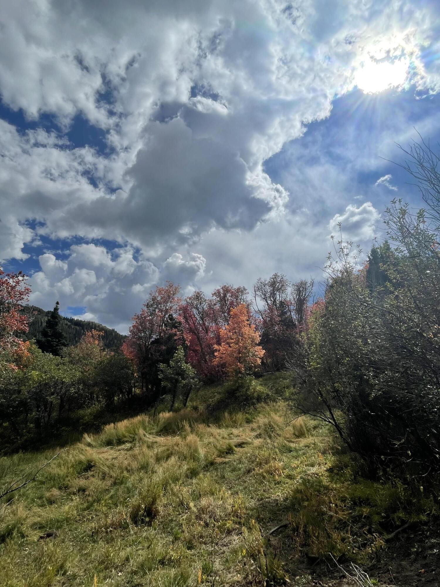 Lot 129 3200 Subdivision, Summit, photo 3 of 5