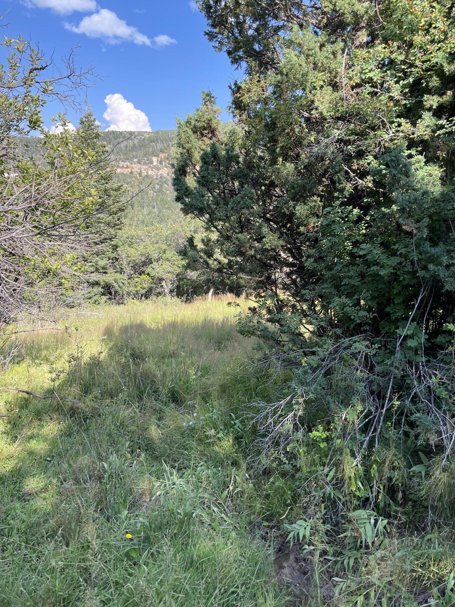 Lot 129 3200 Subdivision, Summit, photo 4 of 5