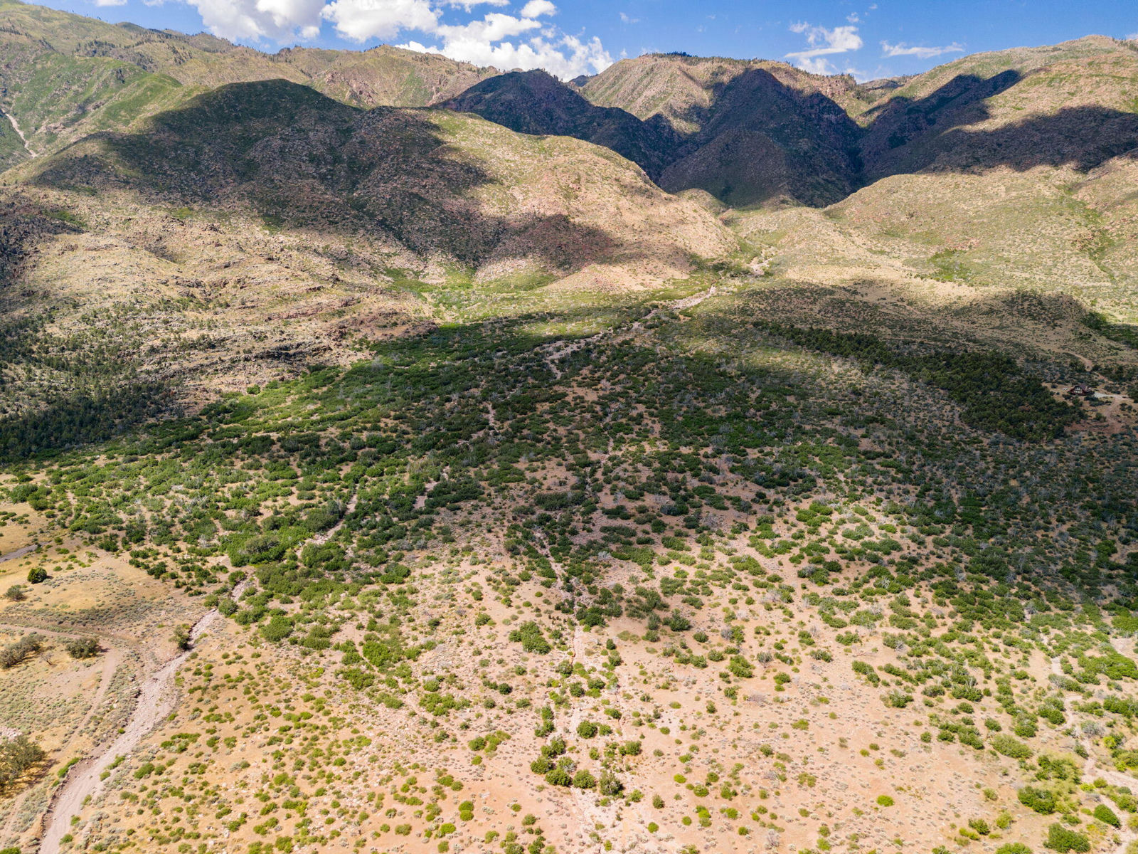 123.24 Acres Parcel 3046-T-NS, New Harmony, photo 10 of 22