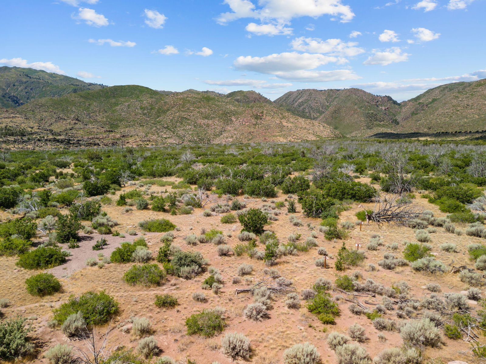 123.24 Acres Parcel 3046-T-NS, New Harmony, photo 14 of 22