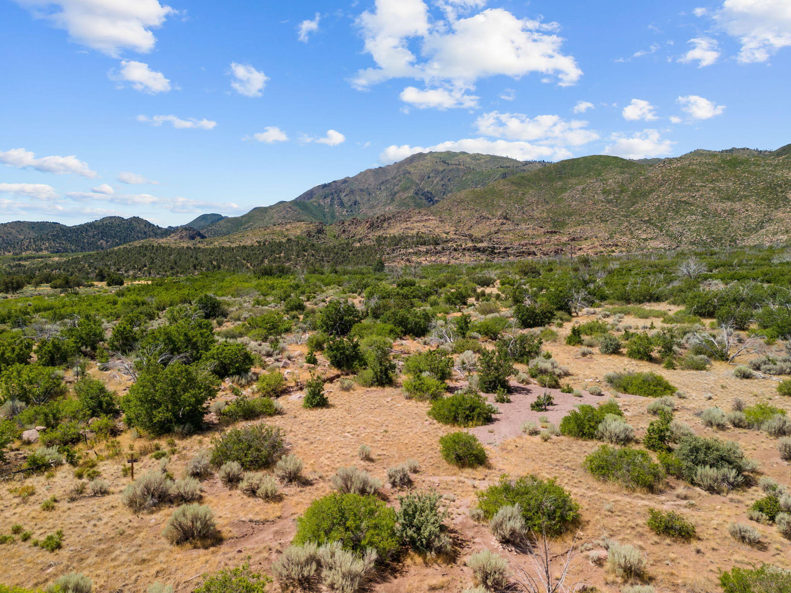 123.24 Acres Parcel 3046-T-NS, New Harmony, photo 15 of 22