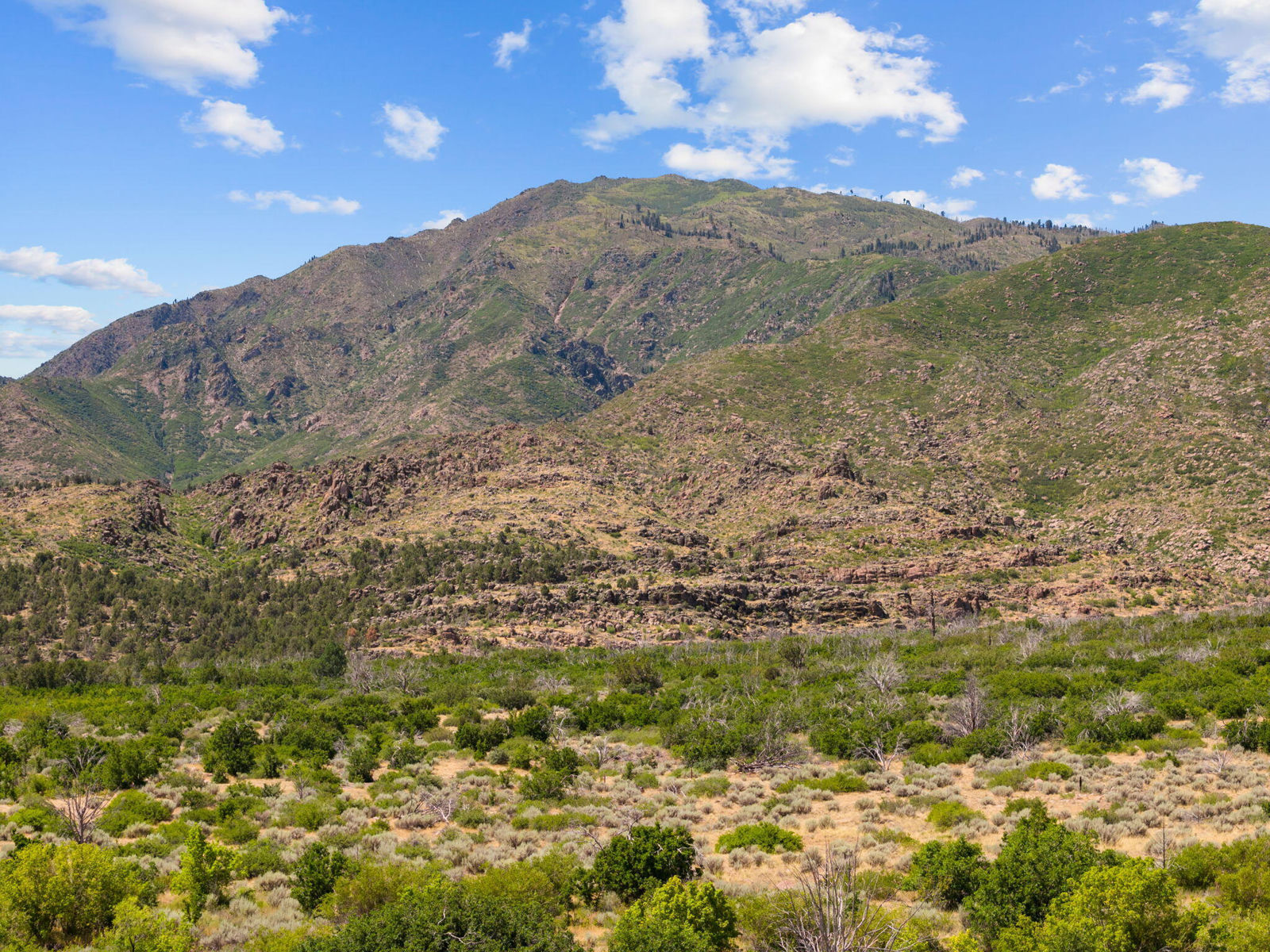 123.24 Acres Parcel 3046-T-NS, New Harmony, photo 16 of 22