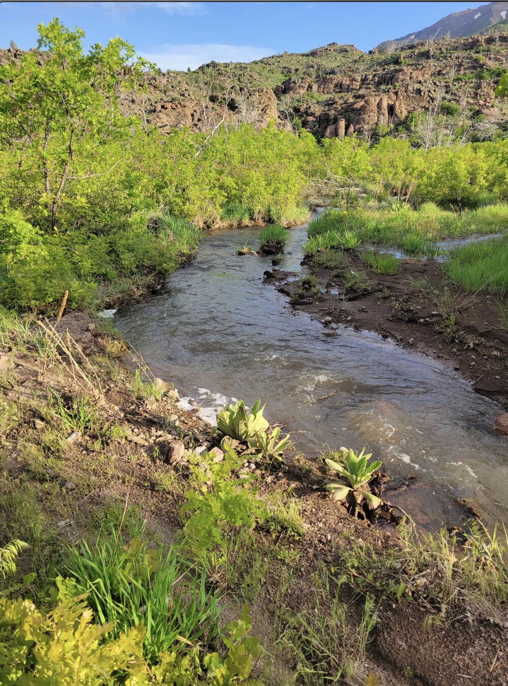 123.24 Acres Parcel 3046-T-NS, New Harmony, photo 6 of 22