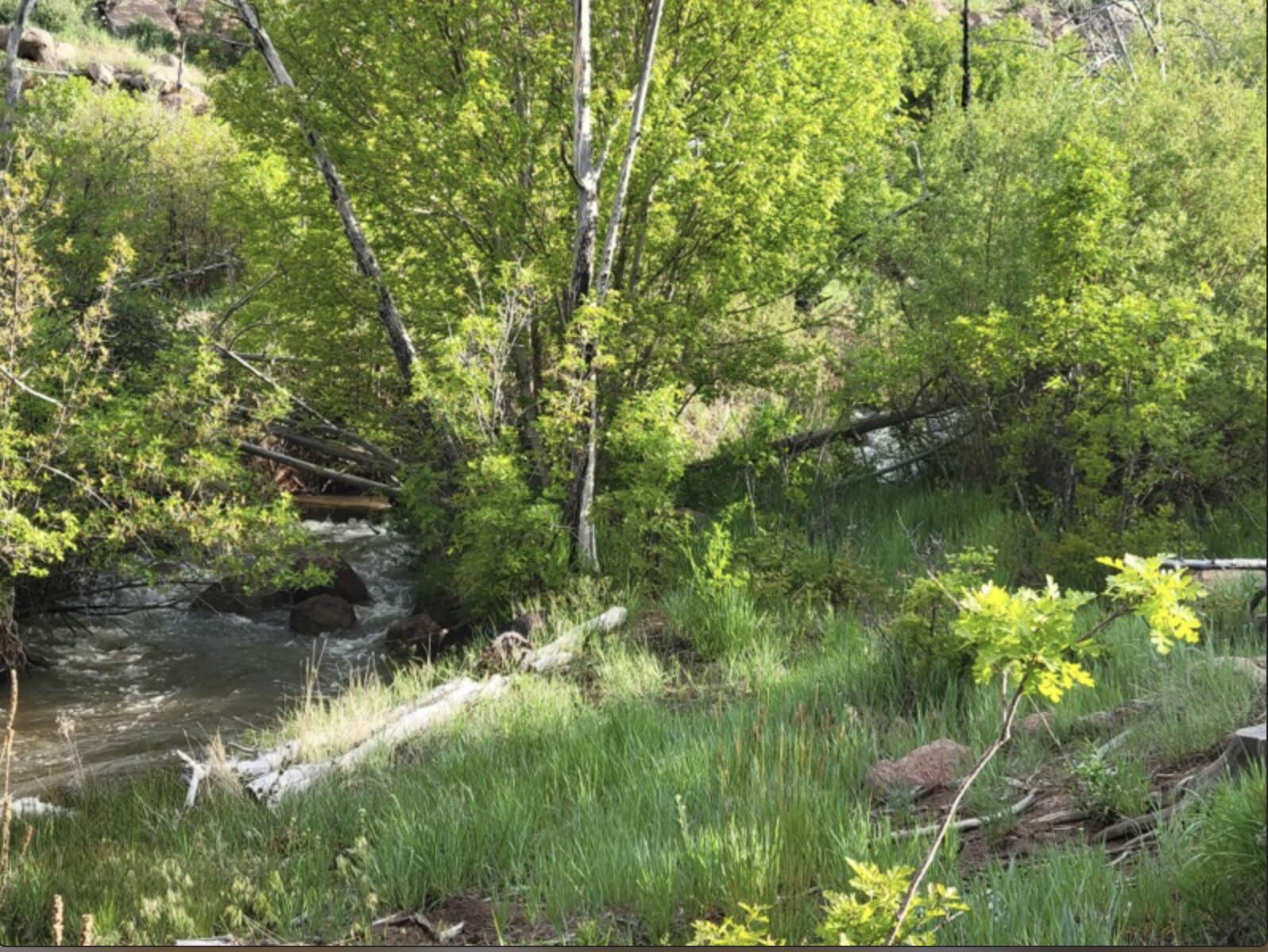123.24 Acres Parcel 3046-T-NS, New Harmony, photo 22 of 22