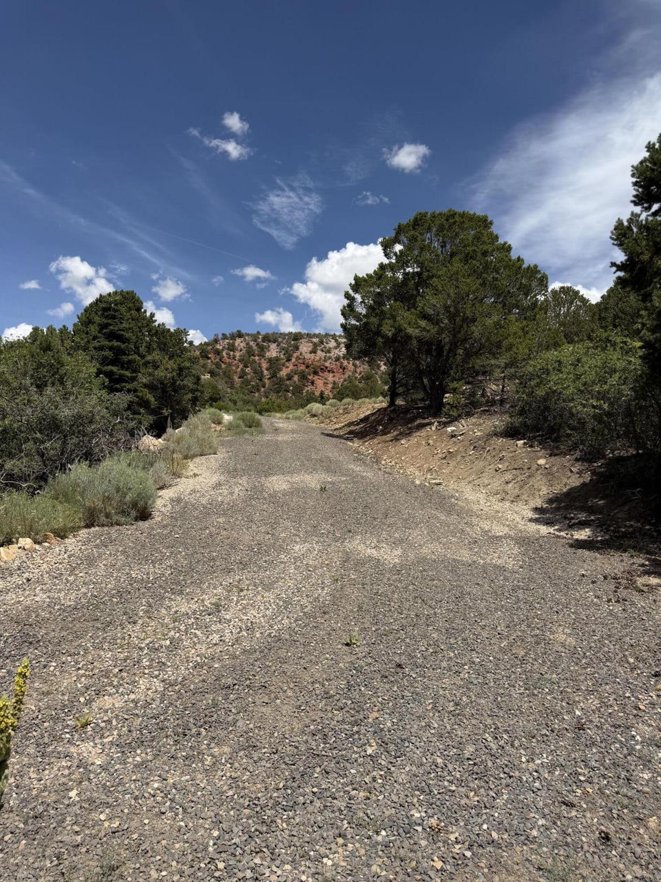 2163 S High Cedar View DR, Cedar City, photo 2