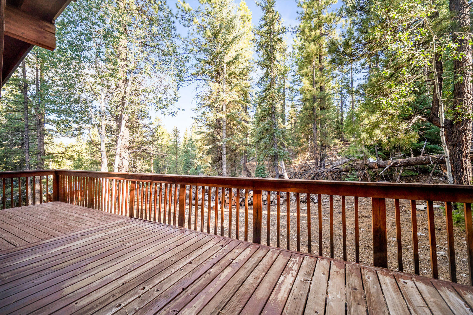 3010 E Primrose Path, Duck Creek Village, photo 31 of 48