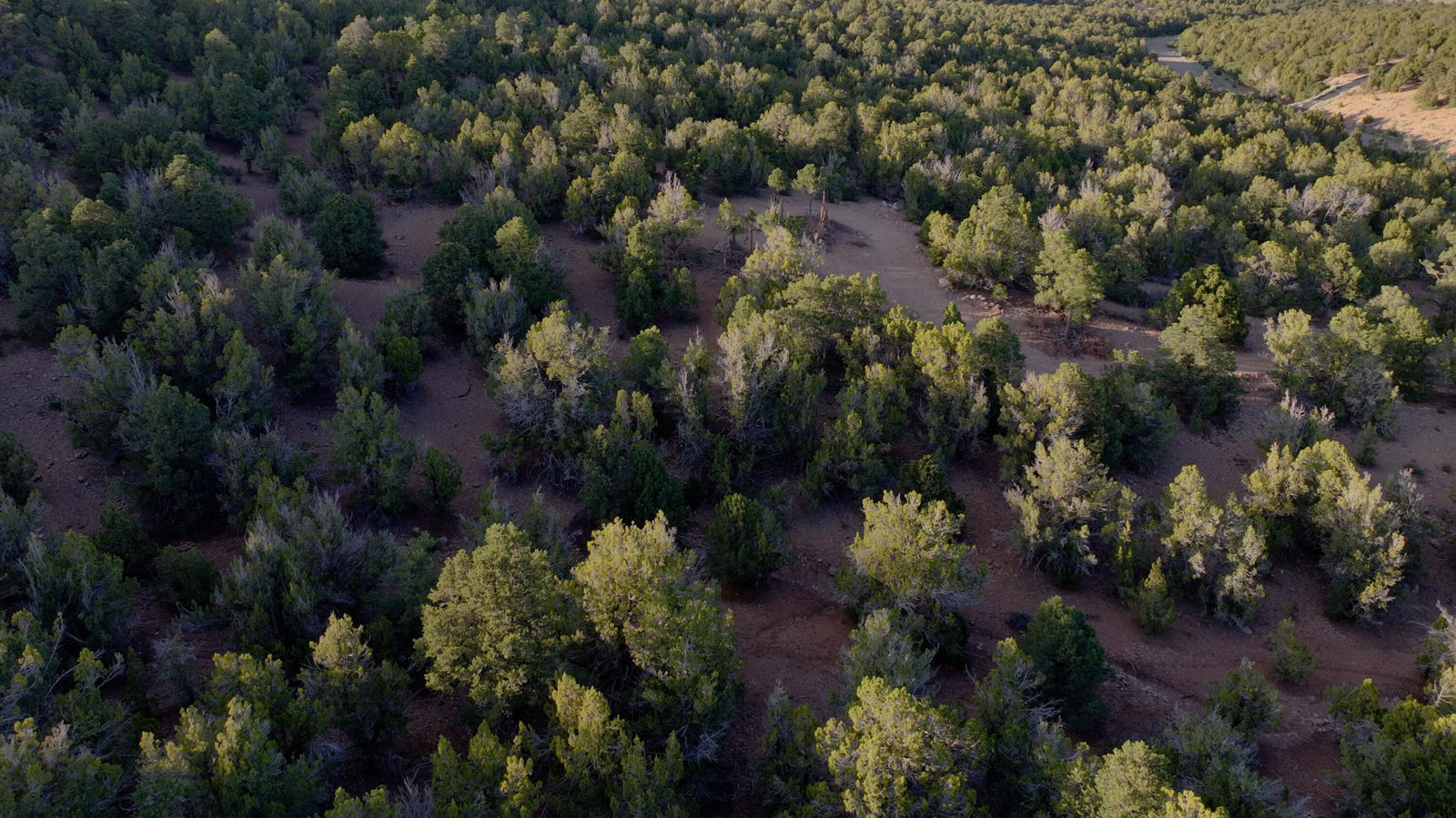 7180 S Bareback Rd, Lot 51, Cedar City, photo 9 of 12