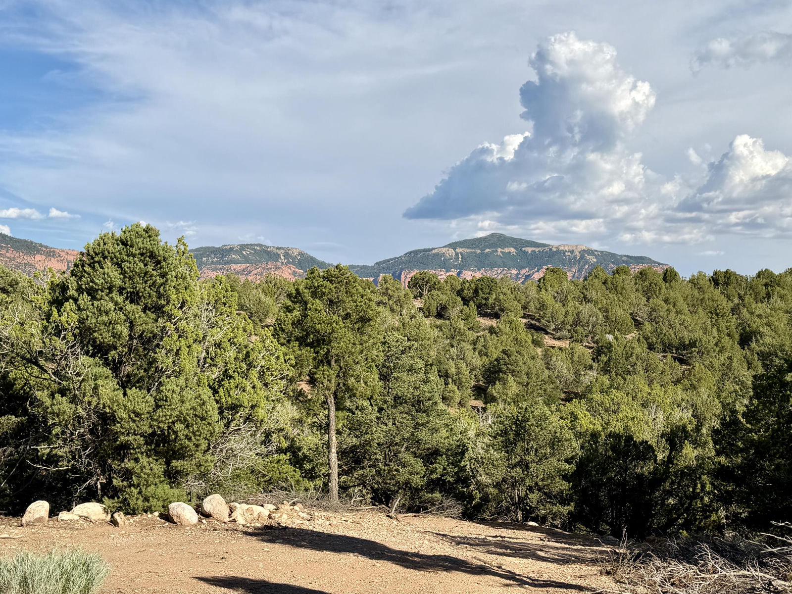 7180 S Bareback Rd, Lot 51, Cedar City, photo 4 of 12