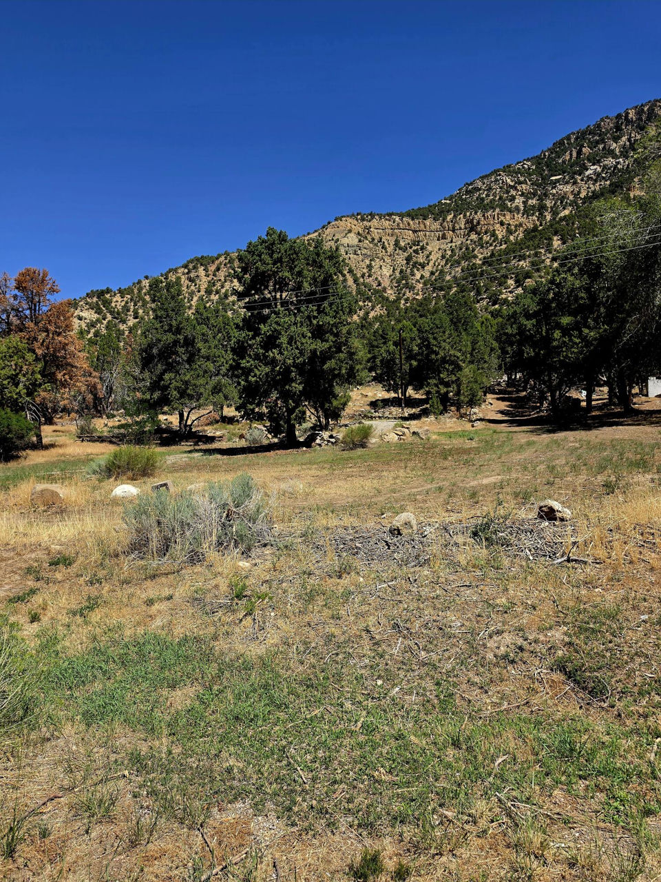 Property in Cedar City, photo 2
