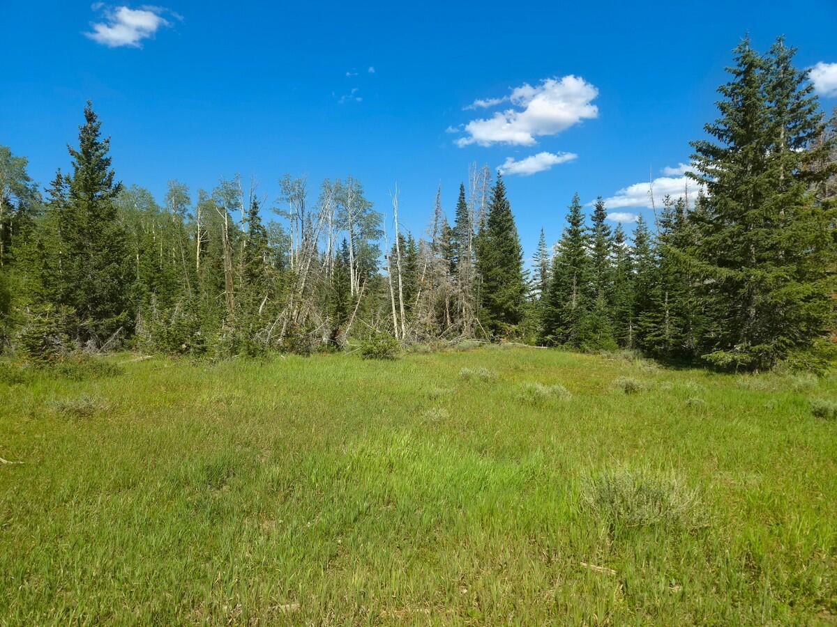 2397 E Rainbow LN, Brian Head, photo 1