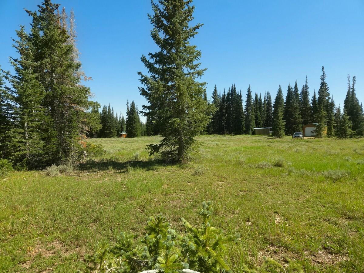 2397 E Rainbow LN, Brian Head, photo 4 of 11