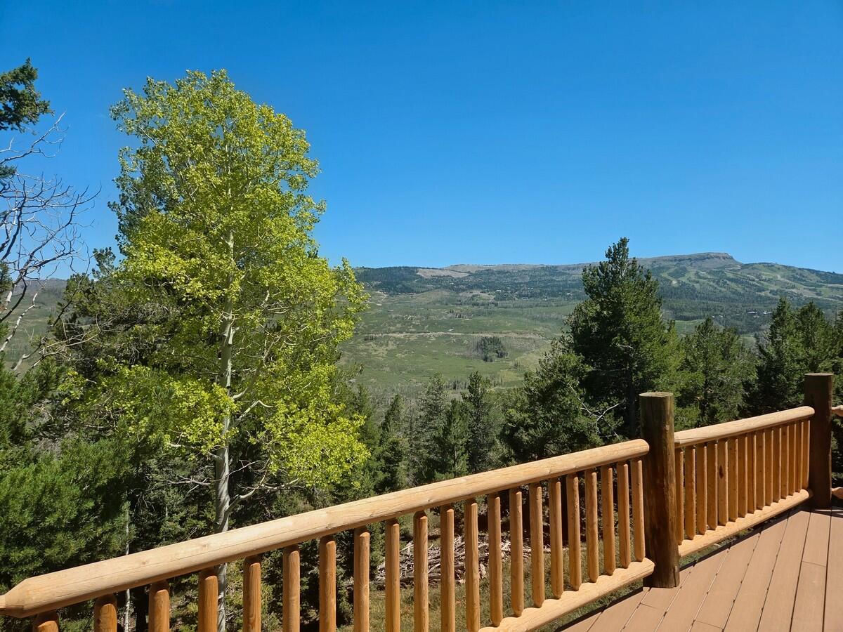 1402 N Aspen DR, Brian Head, photo 5 of 50