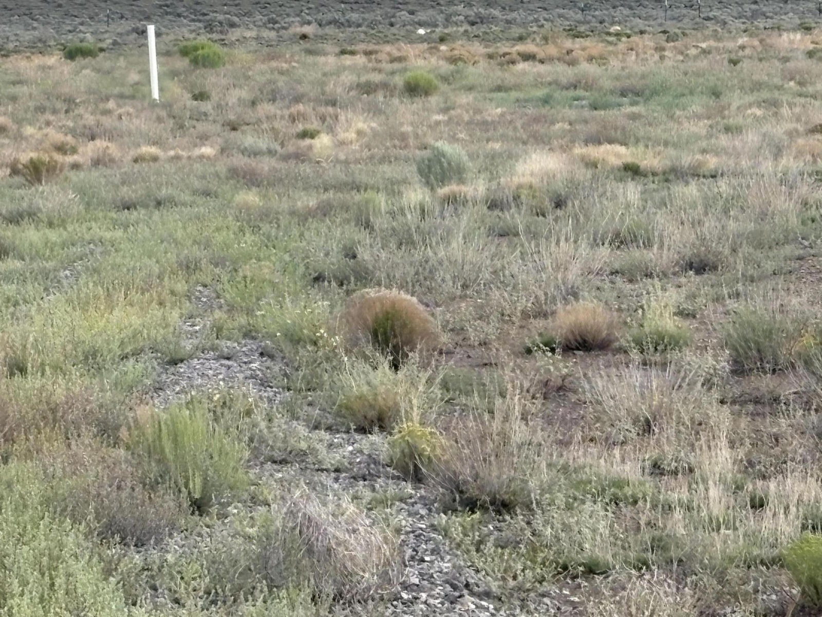 2351 E 4600 N, Panguitch, photo 9 of 13