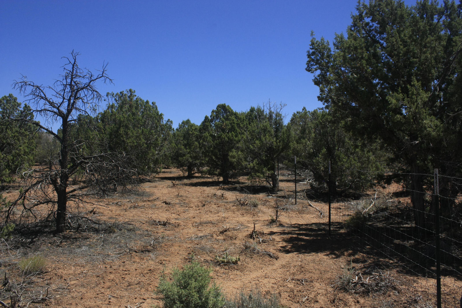 17729 W Harmony LN, Cedar City, photo 5 of 7