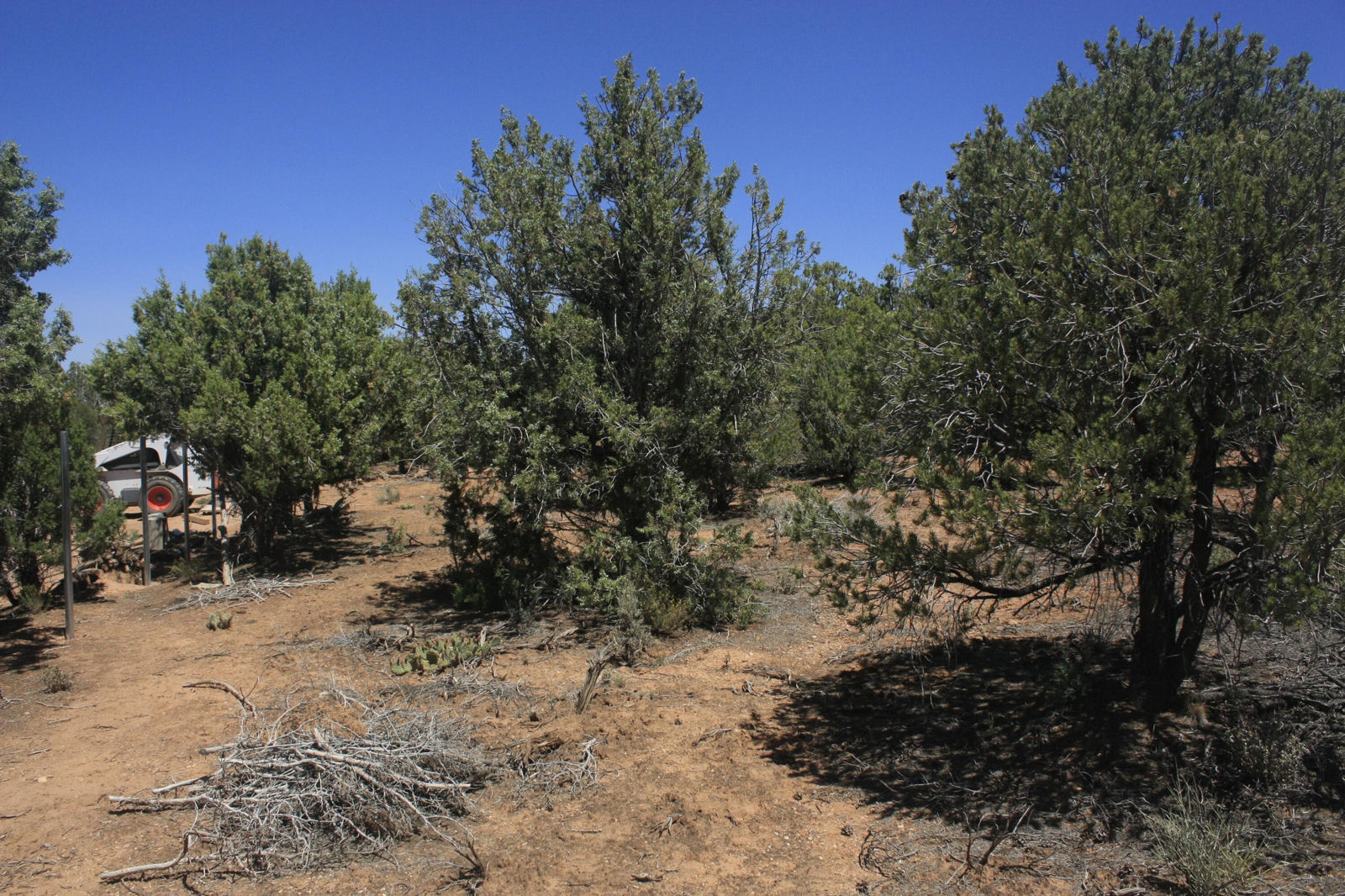 17729 W Harmony LN, Cedar City, photo 6 of 7