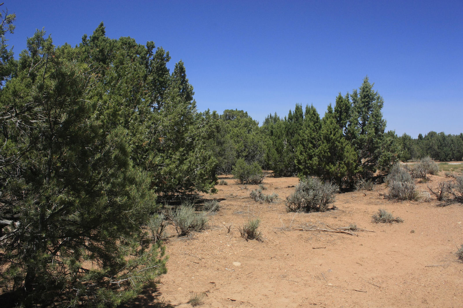 17729 W Harmony LN, Cedar City, photo 7 of 7