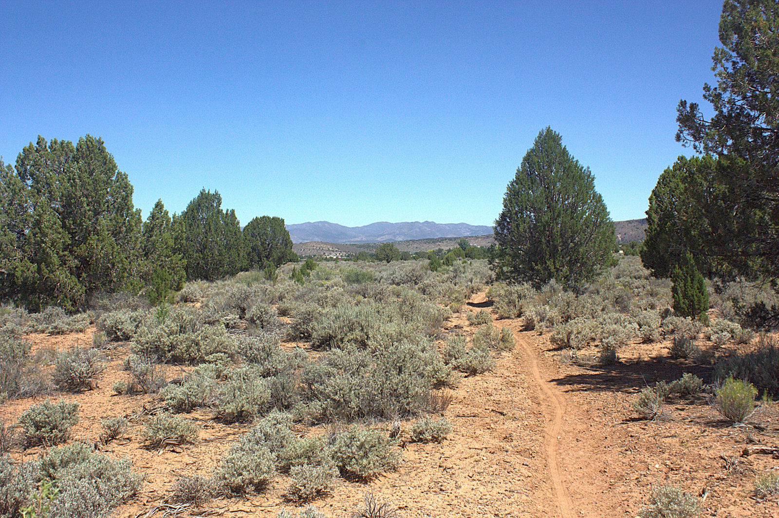 W Juniper Circle RD, Dammeron Valley, photo 1