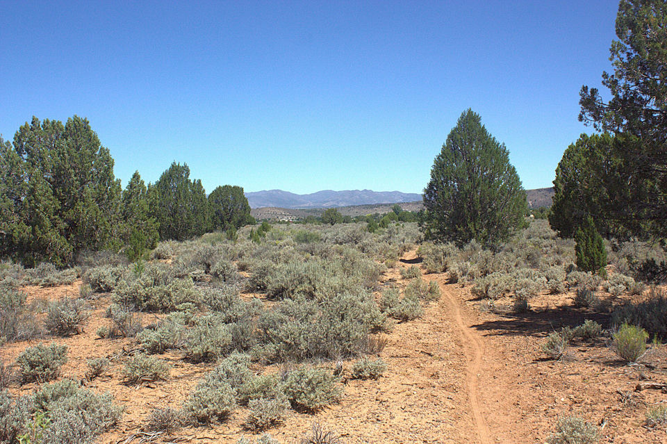 W Juniper Circle RD, Dammeron Valley