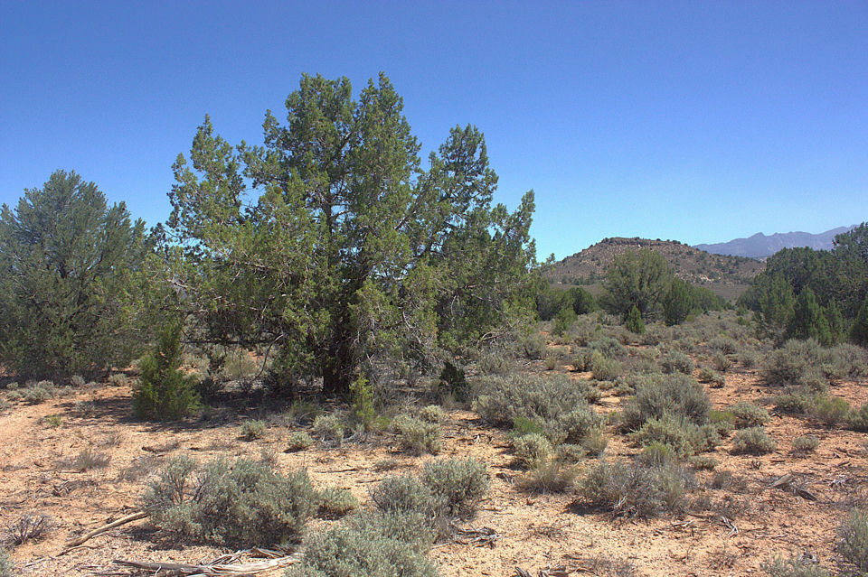W Juniper Circle RD, Dammeron Valley, photo 2