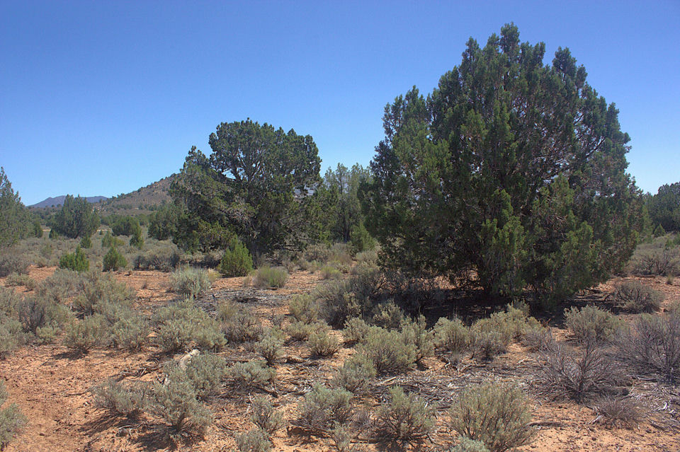 W Juniper Circle RD, Dammeron Valley, photo 3