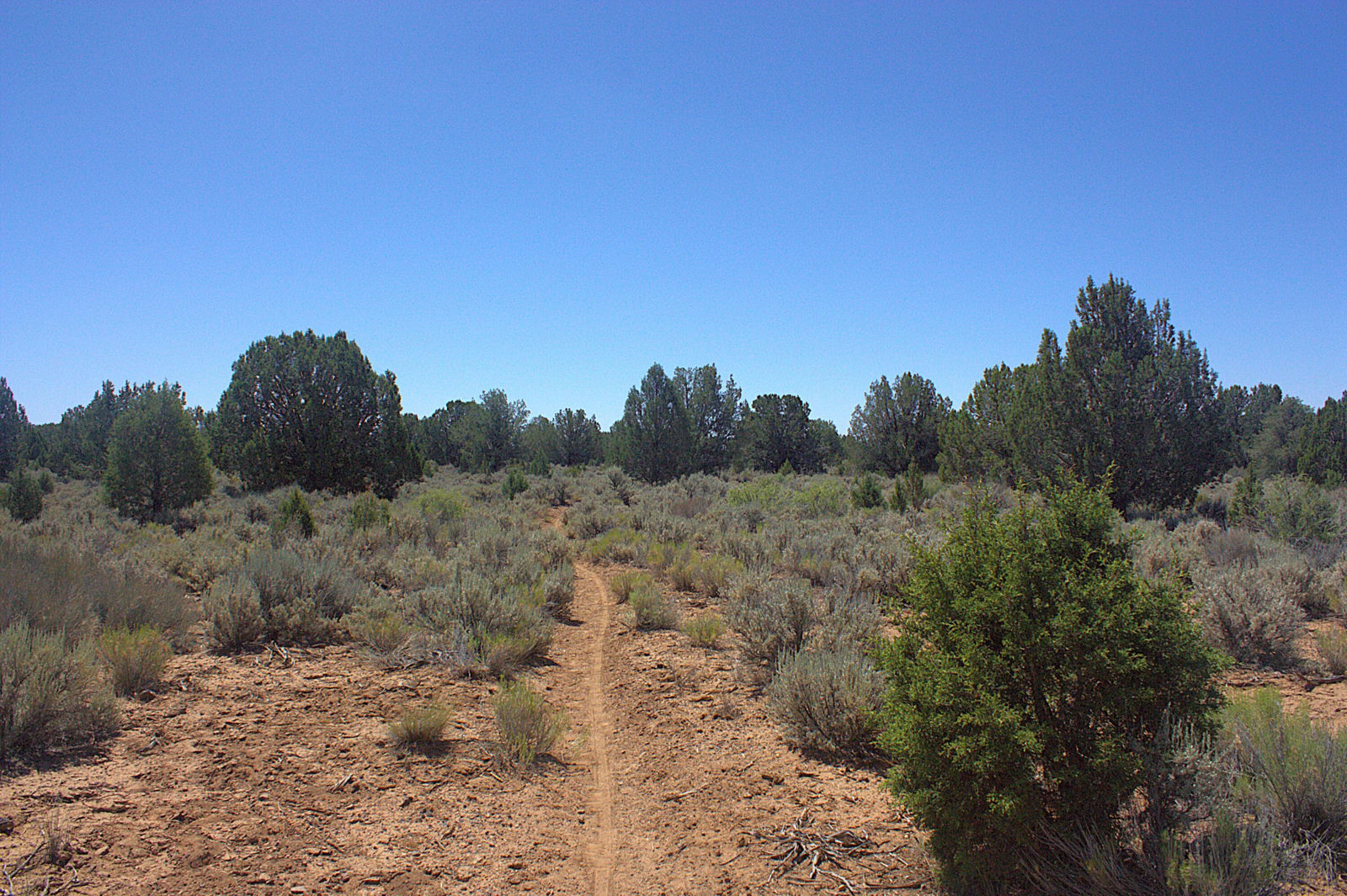 W Juniper Circle RD, Dammeron Valley, photo 5 of 27