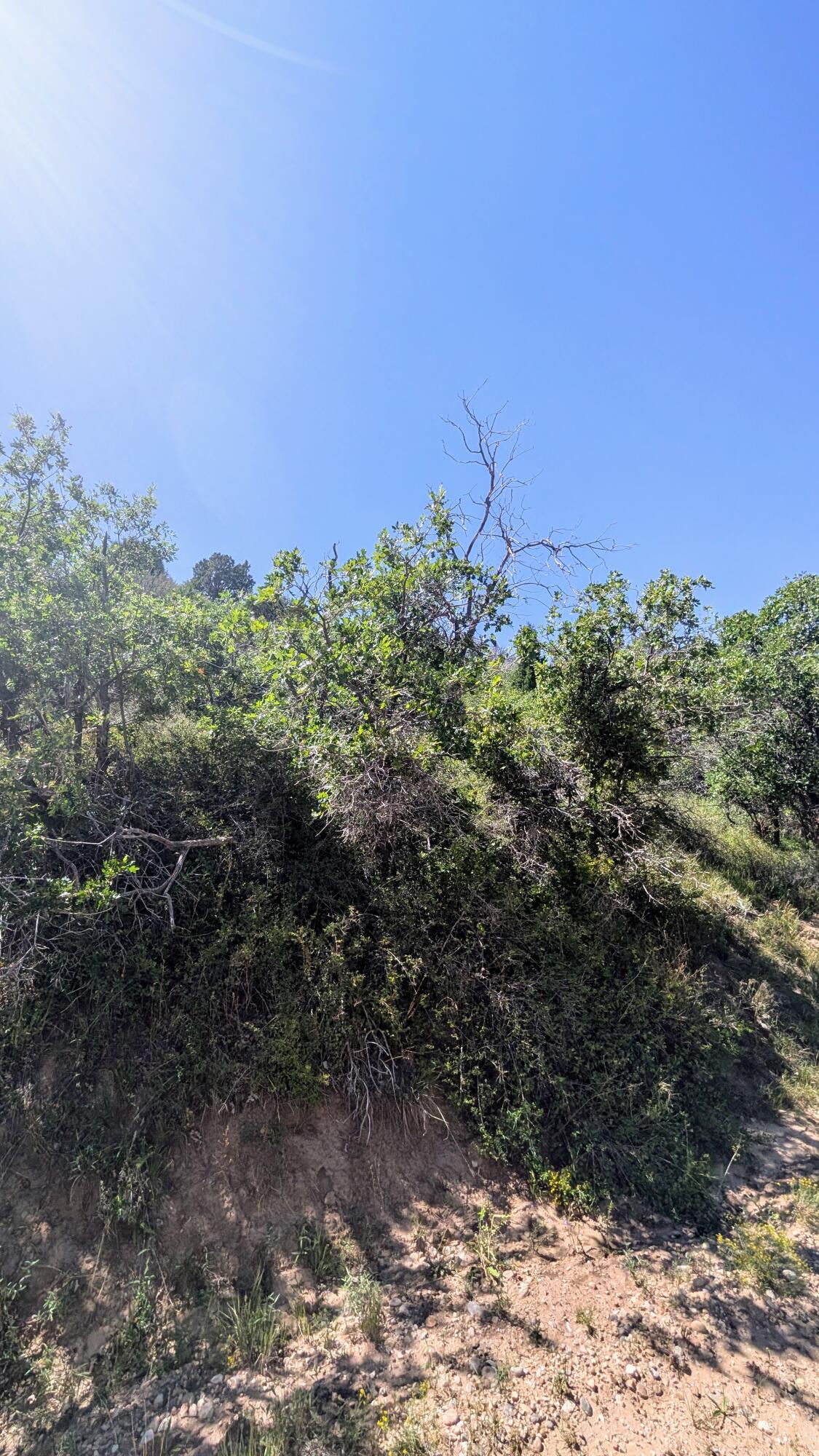 Lot 80 Braffits Creek 3200 Sub, Summit, photo 8 of 10