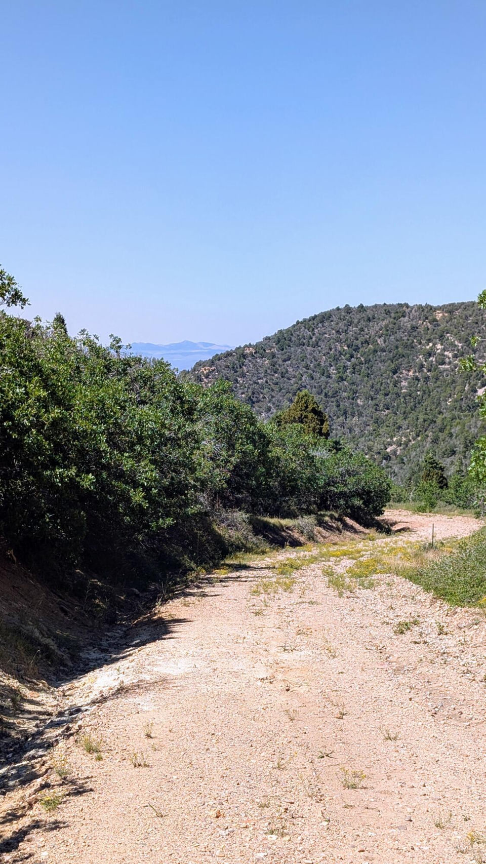 Lot 80 Braffits Creek 3200 Sub, Summit, photo 3