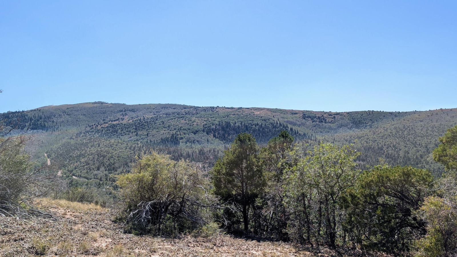 Lot 80 Braffits Creek 3200 Sub, Summit, photo 4 of 10