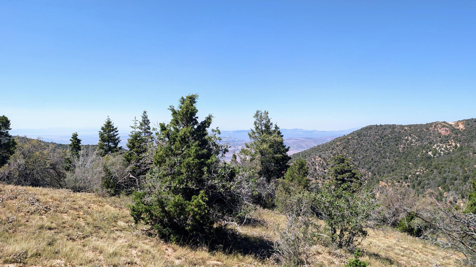 Lot 80 Braffits Creek 3200 Sub, Summit, photo 5 of 10
