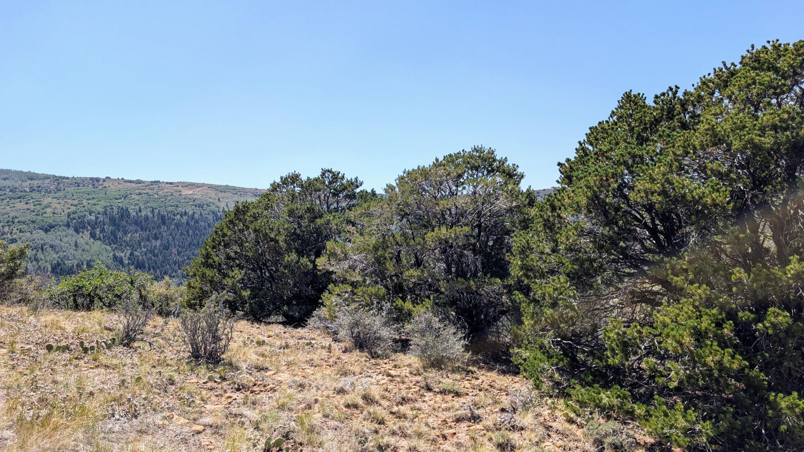 Lot 80 Braffits Creek 3200 Sub, Summit, photo 6 of 10
