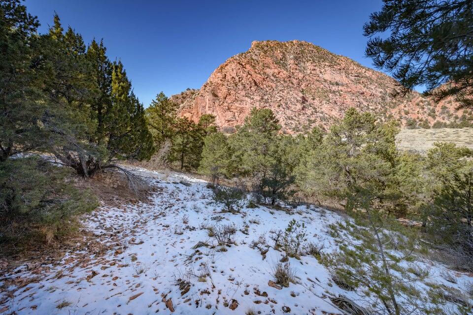 1310 Utah 14, Cedar City, photo 15 of 73