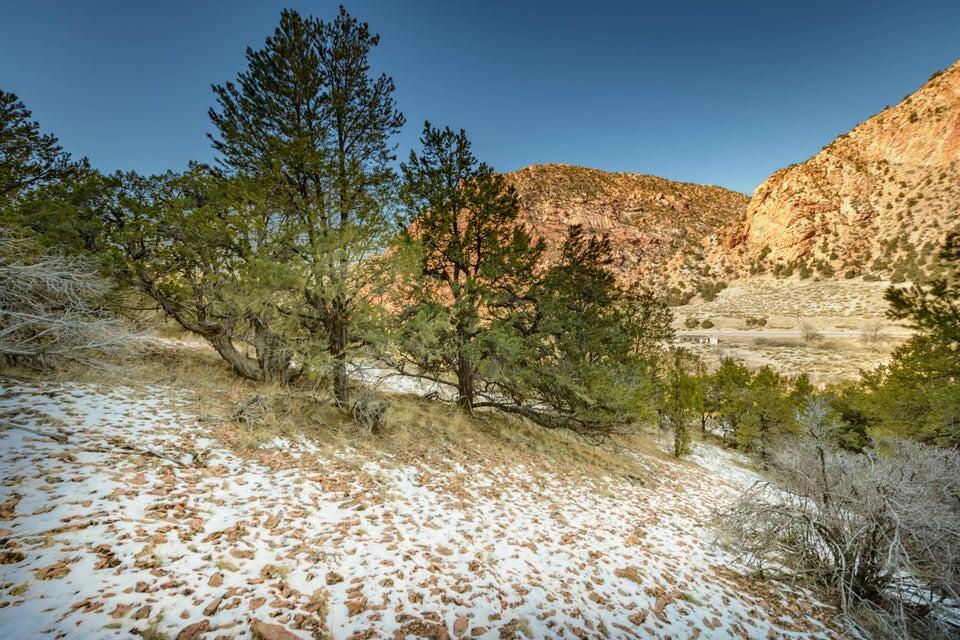 1310 Utah 14, Cedar City, photo 32 of 73