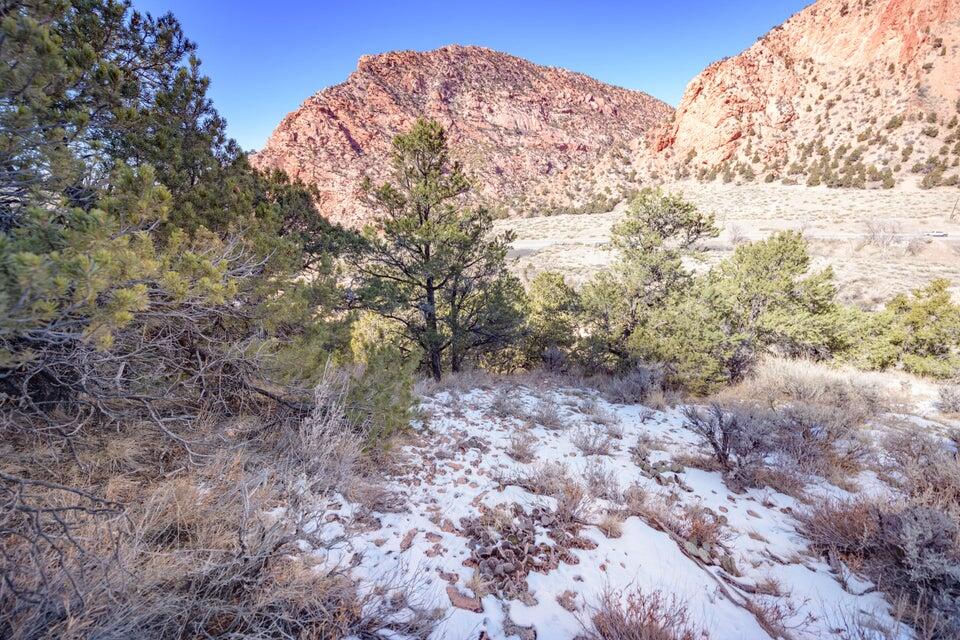 1310 Utah 14, Cedar City, photo 35 of 73