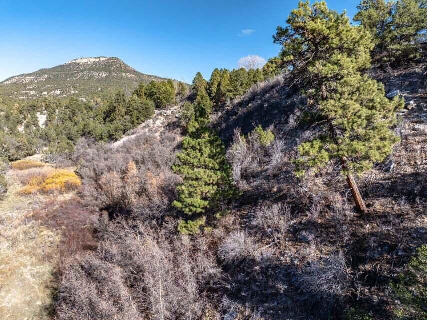 6 S North Fork (Series 1) RD, Orderville, photo 29 of 78