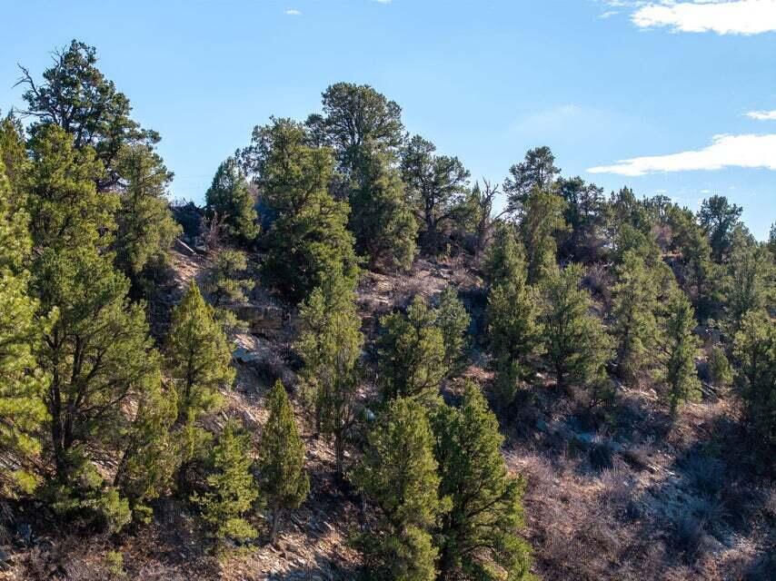 6 S North Fork (Series 1) RD, Orderville, photo 31 of 78