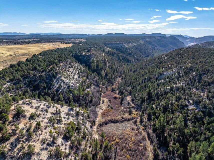6 S North Fork (Series 1) RD, Orderville, photo 33 of 78