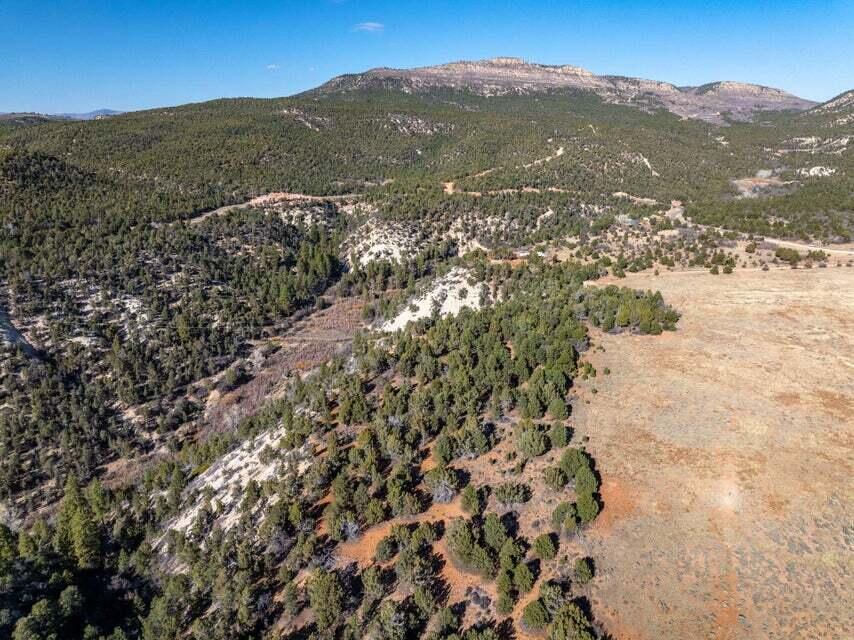 6 S North Fork (Series 1) RD, Orderville, photo 35 of 78